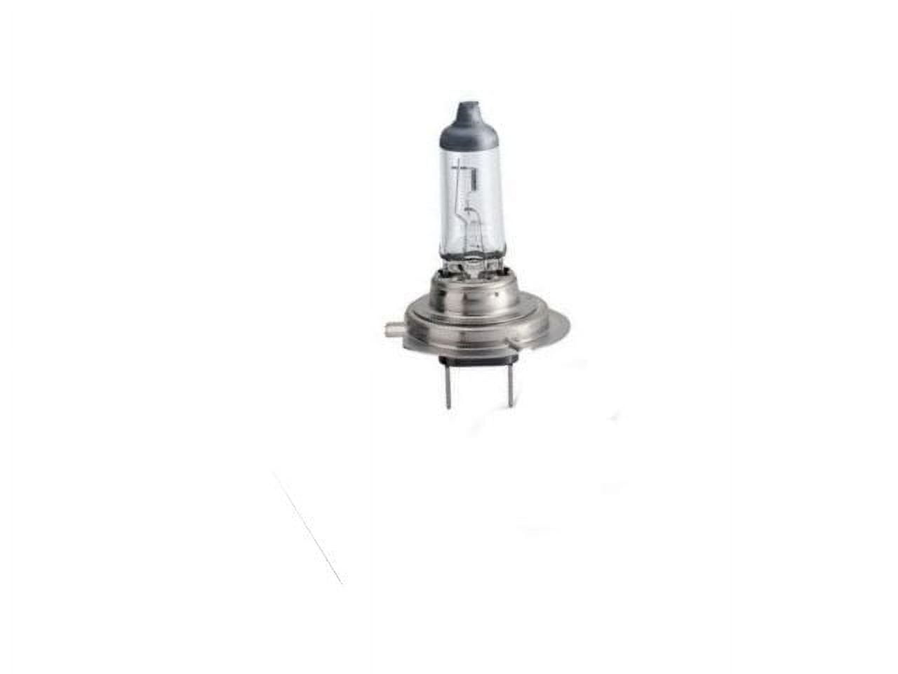 Low Beam Headlight Bulb - Compatible with 2000 - 2013 BMW X5 2001 2002 ...