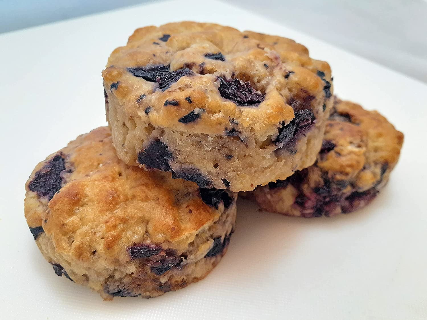 Low Carb Blueberry Scones 6 Pack All Natural Ingredients No Sugar High