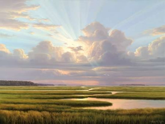 Low Country Splendor Canvas Art - III Von Genk (18 x 24)