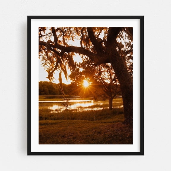 Low Country Sunset - St. Augustine Florida Photography Sunset Spanish Moss Nature Landscape Scenic Lake Woodland Black Framed Wall Art Print 9 x 12 inches