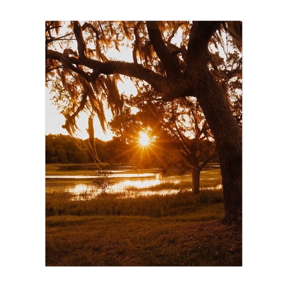 Low Country Sunset - St. Augustine Florida Photography Sunset Spanish Moss Nature Landscape Scenic Lake Woodland Unframed Wall Art Print 18 x 24 inches