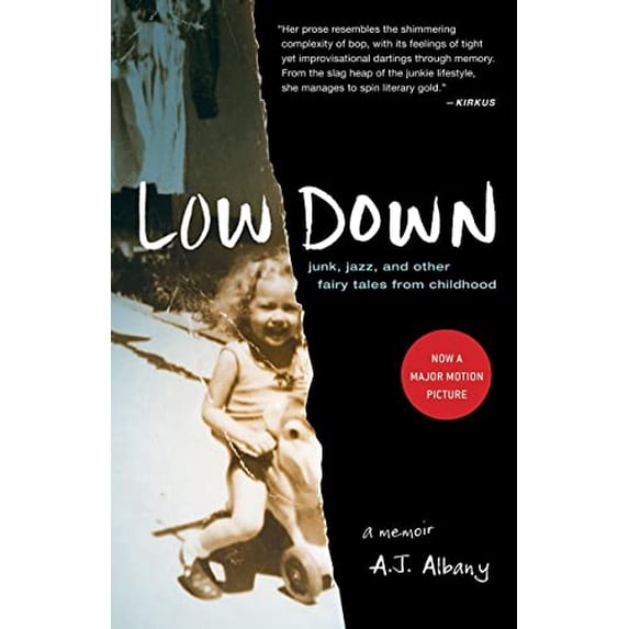 Pre-Owned Low Down: Junk, Jazz, and Other Fairy Tales from Childhood (Paperback) 1935639765 9781935639763
