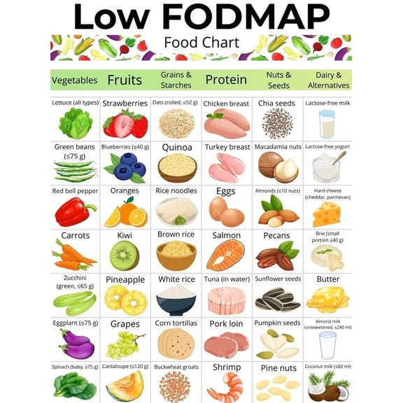 Low FODMAP Food Chart Poster FODMAP Grocery List Poster