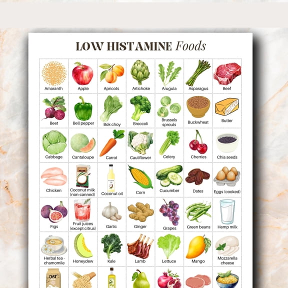 Low Histamine Food Image Chart Poster Histamine Intolerance Visual Reference Chart Poster Low Histamine Poster Food List Poster poster