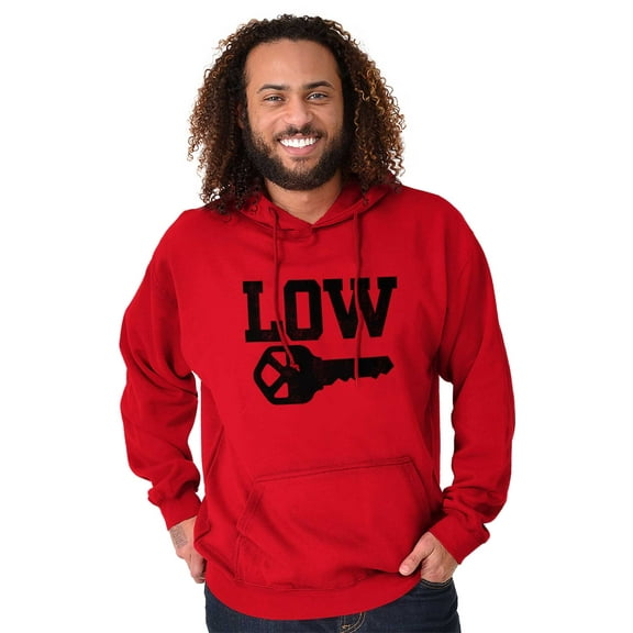 Low Key Nerd Sarcastic Pun Funny Geek Unisex Plus Size Hoodie Brisco Brands 3X