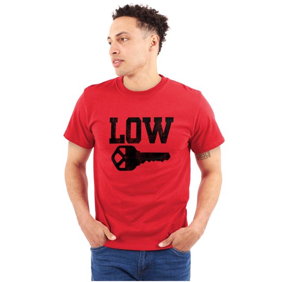 Low Key Nerd Sarcastic Pun Funny Geek Plus Size Crewneck Graphic Tee Shirt Brisco Brands 3X