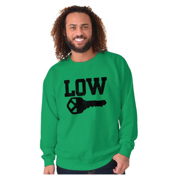 Low Key Nerd Sarcastic Pun Funny Geek Sweatshirt for Men or Women Brisco Brands M