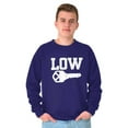 thumbnail image 1 of Low Key Nerd Sarcastic Pun Funny Geek Sweatshirt for Men or Women Brisco Brands M, 1 of 6