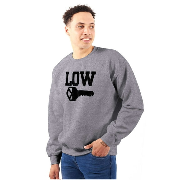 Low Key Nerd Sarcastic Pun Funny Geek Sweatshirt for Men or Women Brisco Brands X