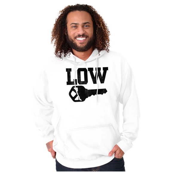 Low Key Nerd Sarcastic Pun Funny Geek Unisex Plus Fleece Graphic Hoodie Brisco Brands 2X