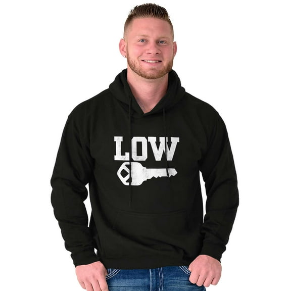 Low Key Nerd Sarcastic Pun Funny Geek Unisex Plus Fleece Graphic Hoodie Brisco Brands 2X