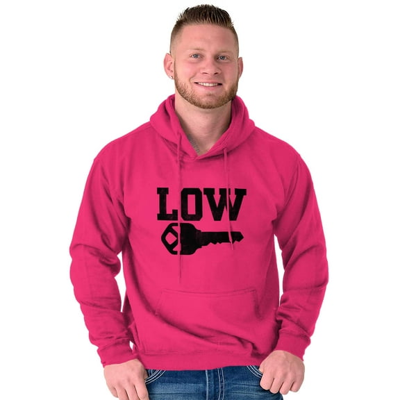 Low Key Nerd Sarcastic Pun Funny Geek Unisex Plus Fleece Graphic Hoodie Brisco Brands 3X
