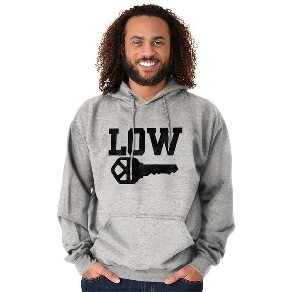 Low Key Nerd Sarcastic Pun Funny Geek Unisex Plus Fleece Graphic Hoodie Brisco Brands 4X