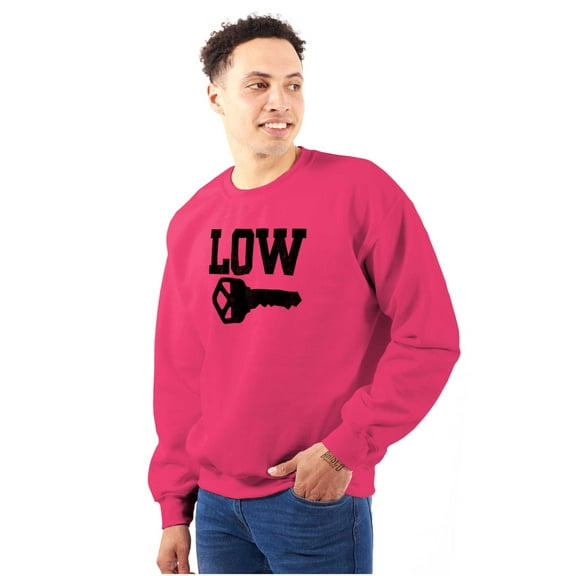 Low Key Nerd Sarcastic Pun Funny Geek Unisex Plus Fleece Graphic Sweatshirt Brisco Brands 3X
