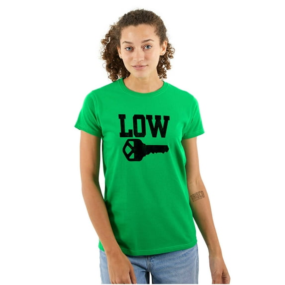 Low Key Nerd Sarcastic Pun Funny Geek Womens Fitted Plus Size Graphic Tee Brisco Brands 3X