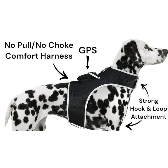 Low Maintenance Mini Dog Tracking GPRS GPS GSM Pet Tracker Waterproof Size:S