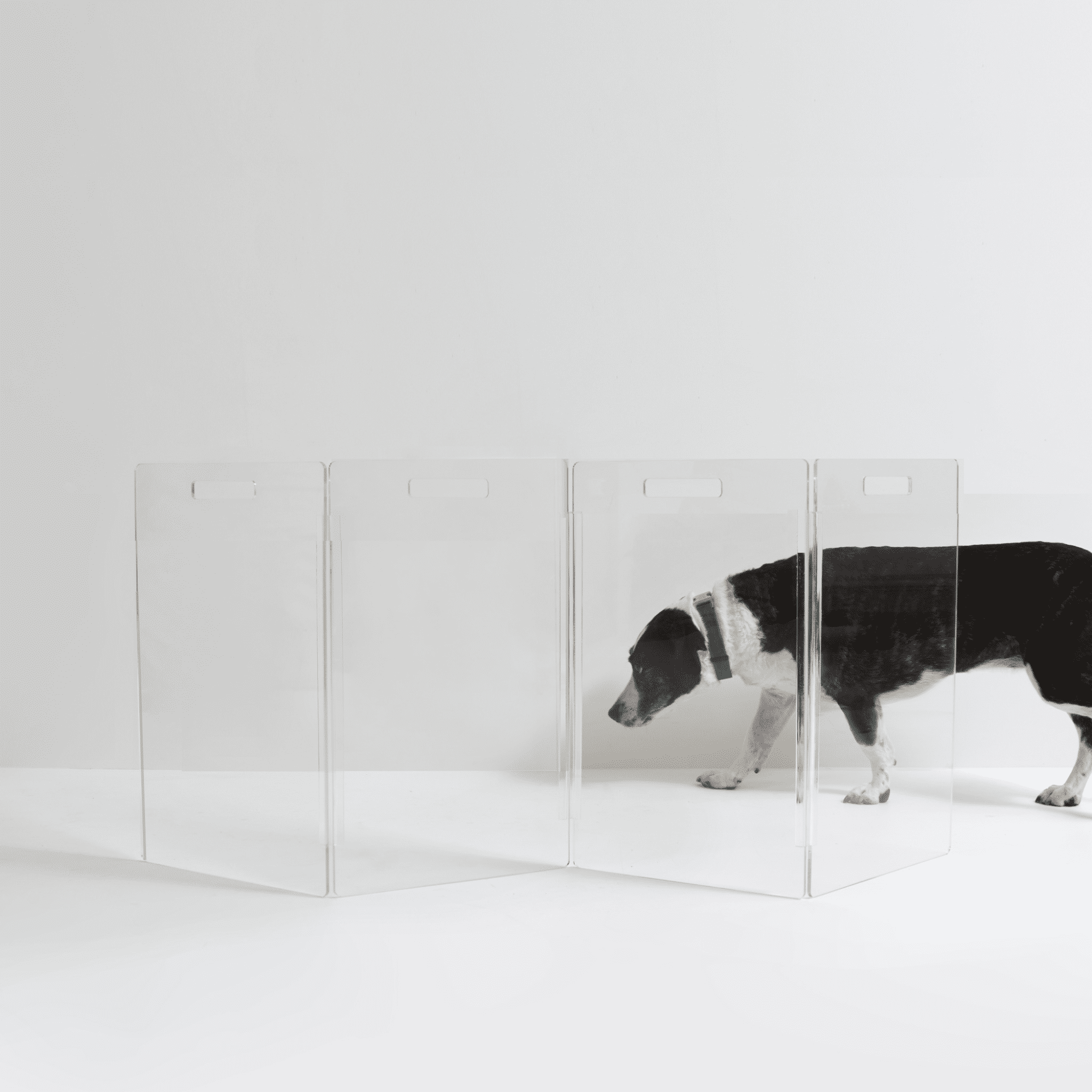 Clear Acrylic 6-Panel Freestanding Pet Gate