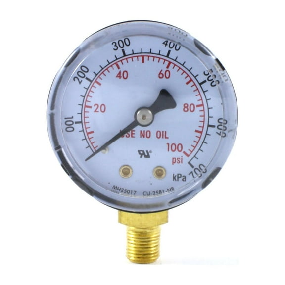 Low Pressure Gauge for Oxygen Regulator 0-100 psi - 2 inches for LDP Regulators - 1/8"