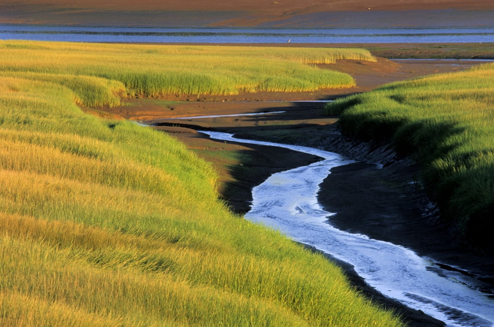 Low Tide At Sunset Minas Basin Kings County Nova Scotia Canvas Art - Ron Watts Design Pics (34 x 22)