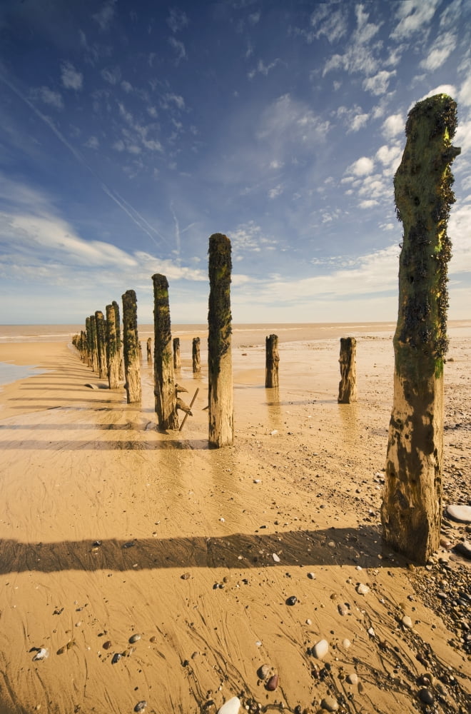 Low Tide Humberside England Canvas Art - John Short Design Pics (24 x 36)