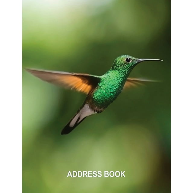 Low Vision Address Book Large Print Contacts and Password Record With