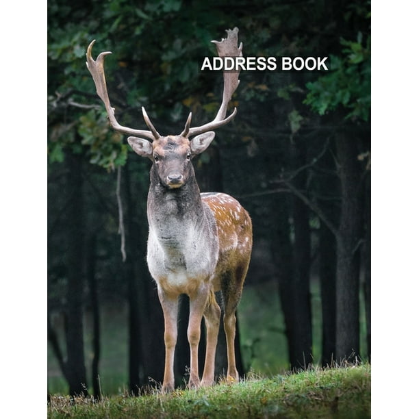 Low Vision Large Print Address Book : Contacts and Password Record Book ...