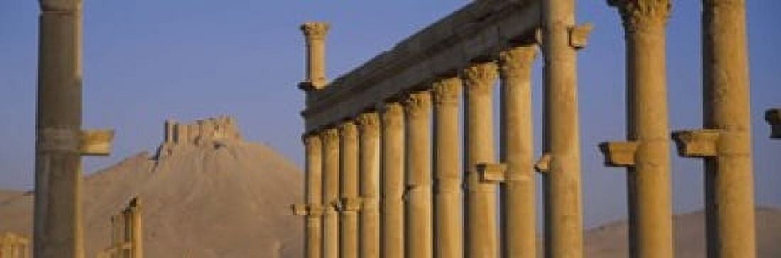 Low angle view of Great Colonnade Palmyra Syria Canvas Art - Panoramic Images (18 x 6)