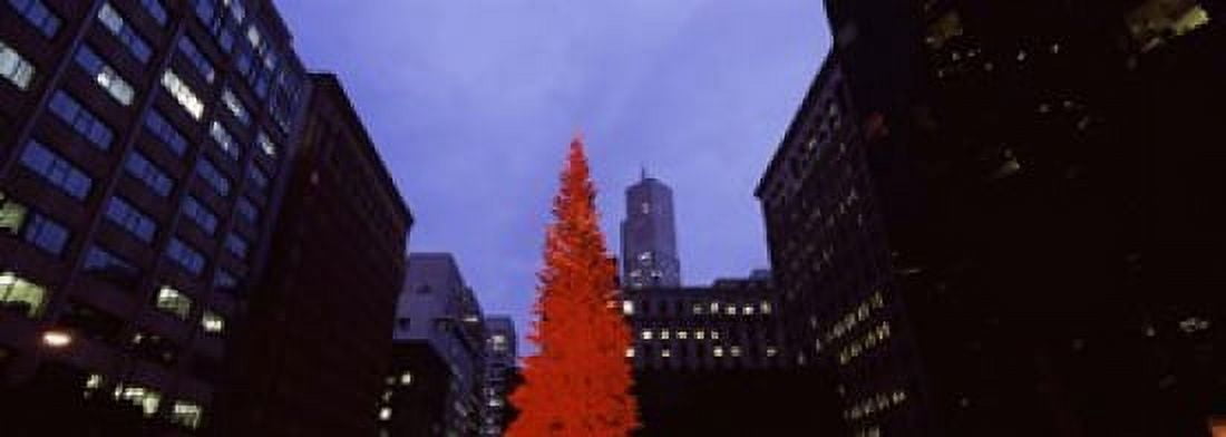 Low angle view of a Christmas tree San Francisco California USA Canvas Art - Panoramic Images (18 x 7)