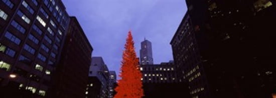 Low angle view of a Christmas tree San Francisco California USA Canvas Art - Panoramic Images (36 x 13)