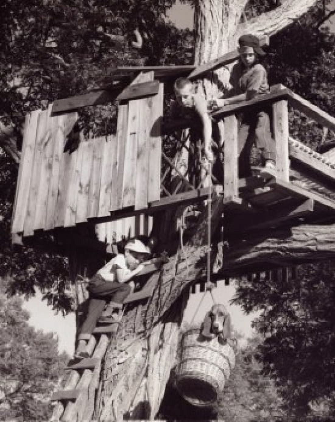 Low angle view of a boy pulling a dog up to a treehouse in a bucket Canvas Art - (18 x 24)