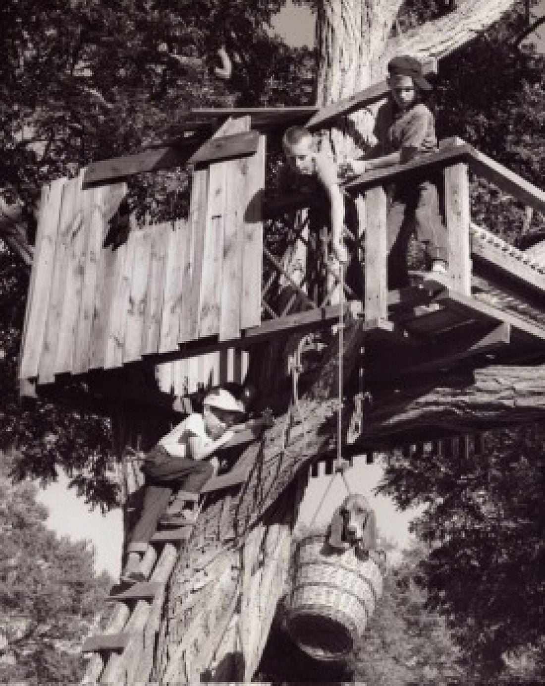 Low angle view of a boy pulling a dog up to a treehouse in a bucket Canvas Art - (24 x 36)