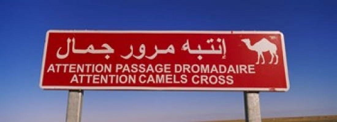 Low angle view of a camel crossing signboard Douz Tunisia Canvas Art - Panoramic Images (18 x 7)