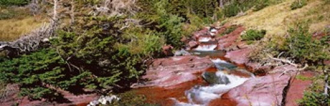 Low angle view of a creek Baring Creek US Glacier National Park Montana USA Canvas Art - Panoramic Images (18 x 6)