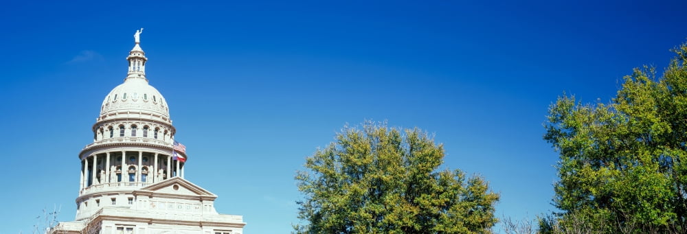 Low angle view of a government building Texas State Capitol Austin Texas USA Canvas Art - Panoramic Images (36 x 12)