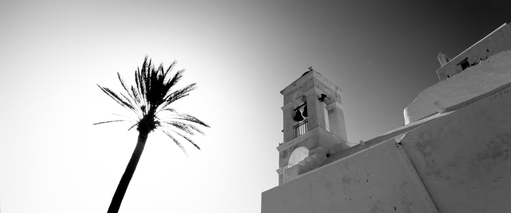 Low angle view of a palm tree near a church Ios Cyclades Islands Greece Canvas Art - Panoramic Images (13 x 30)