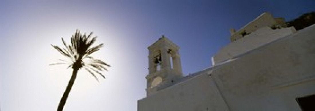 Low angle view of a palm tree near a church Ios Cyclades Islands Greece Canvas Art - Panoramic Images (18 x 7)