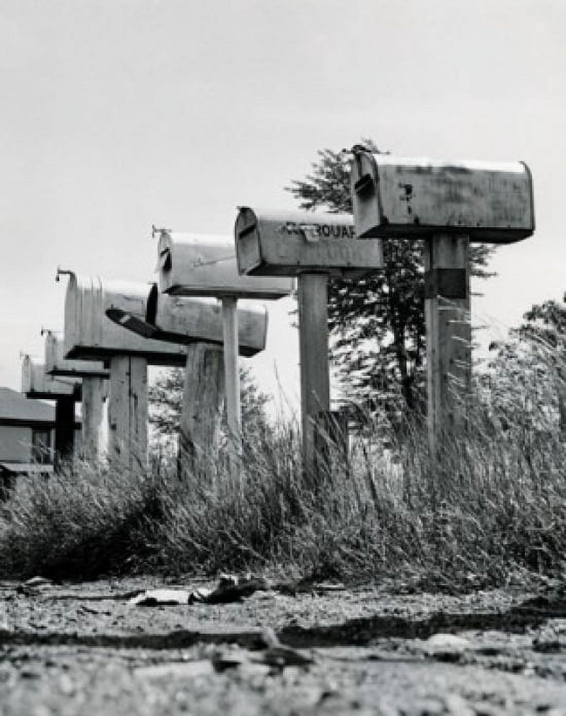 Low angle view of a row of mailboxes Canvas Art -  (24 x 36)
