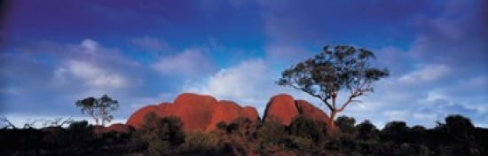 Low angle view of a sandstone Olgas Uluru-Kata Tjuta National Park Northern Territory Australia Canvas Art - Panoramic Images (36 x 12)