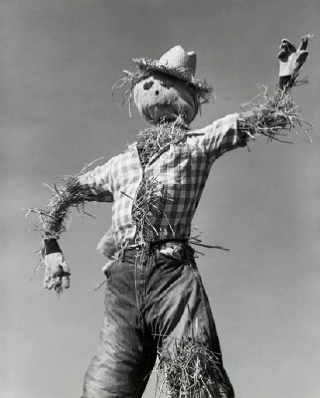Low angle view of a scarecrow Canvas Art - (18 x 24)