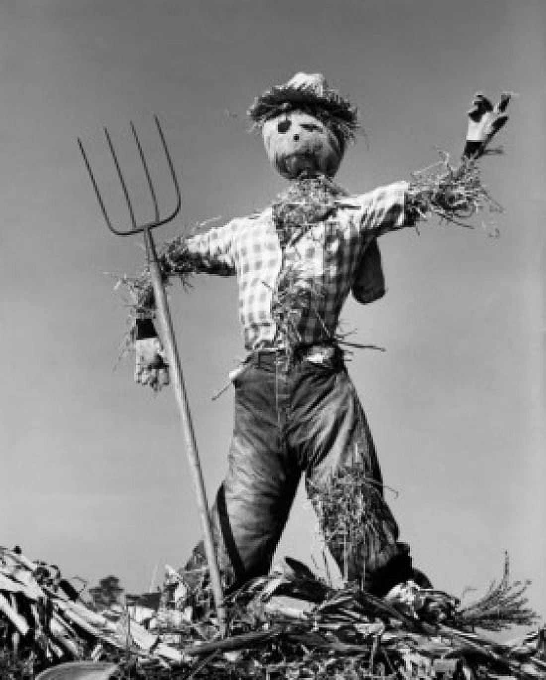 Low angle view of a scarecrow with a pitchfork Canvas Art -  (18 x 24)