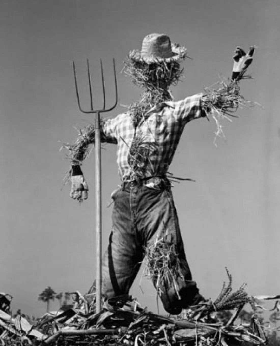 Low angle view of a scarecrow with a pitchfork Canvas Art -  (24 x 36)