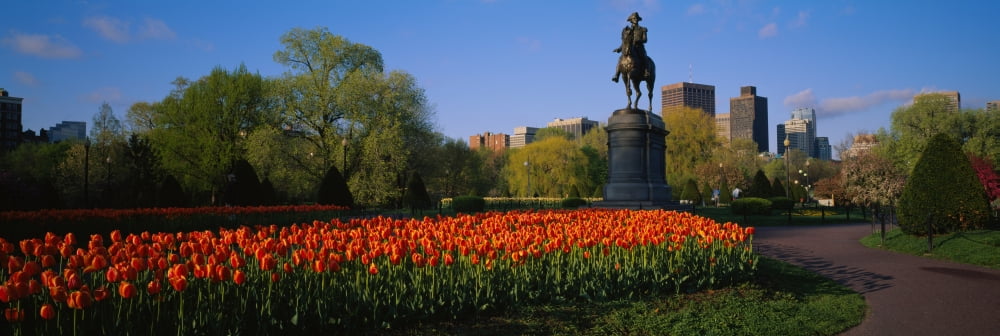 Low angle view of a statue in a garden George Washington Statue Boston Public Garden Boston Massachusetts USA Canvas Art - Panoramic Images (36 x 12)