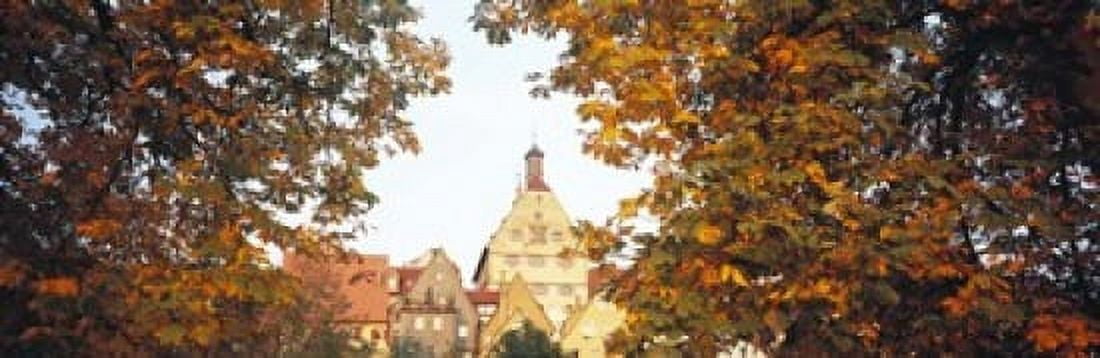 Low angle view of buildings viewed through trees Bietigheim Baden-Wurttemberg Germany Canvas Art - Panoramic Images (18 x 6)