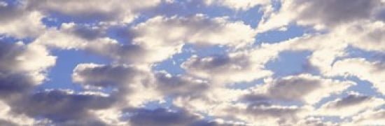 Low angle view of clouds Canvas Art - Panoramic Images (36 x 12)