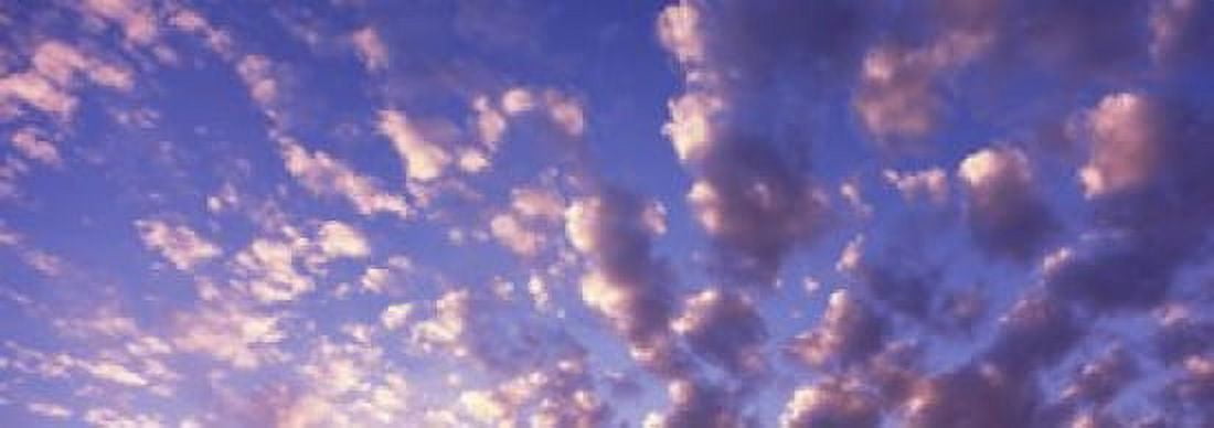 Low angle view of clouds Caribbean Sea Canvas Art - Panoramic Images (36 x 13)