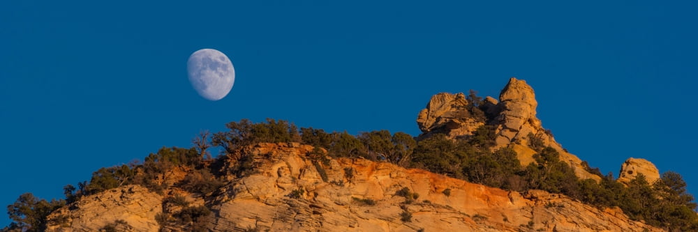 Low angle view of moon over cliffs Zion National Park Utah USA Canvas Art - Panoramic Images (6 x 18)