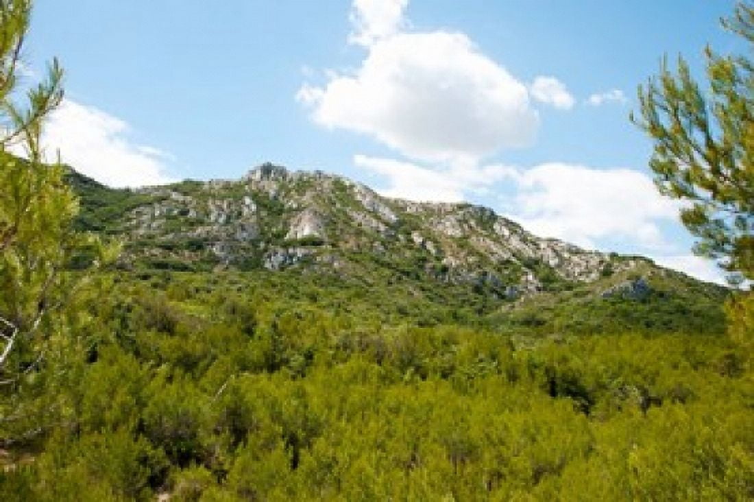 Low angle view of mountains Alpilles D25 Eyguieres Bouches-Du-Rhone Provence-Alpes-Cote dAzur France Canvas Art - Panoramic Images (36 x 24)