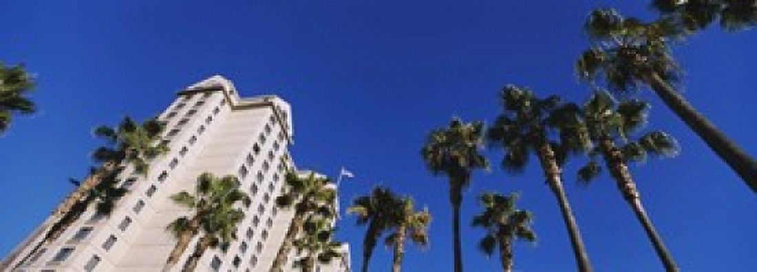 Low angle view of palm trees Downtown San Jose San Jose Silicon Valley Santa Clara County California USA Canvas Art - Panoramic Images (18 x 7)