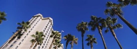 Low angle view of palm trees Downtown San Jose San Jose Silicon Valley Santa Clara County California USA Canvas Art - Panoramic Images (36 x 13)