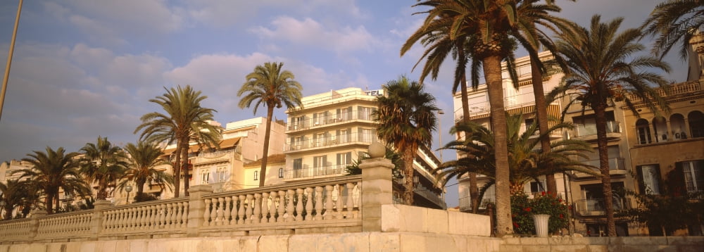 Low angle view of palm trees Sitges Barcelona Catalonia Spain Canvas Art - Panoramic Images (27 x 9)